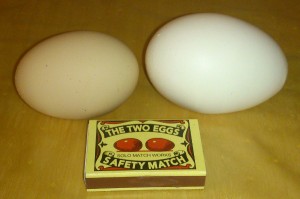 Dve nadpriemerne veľké vajcia.